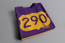 Load image into Gallery viewer, PVAMU - US 290 Shirt
